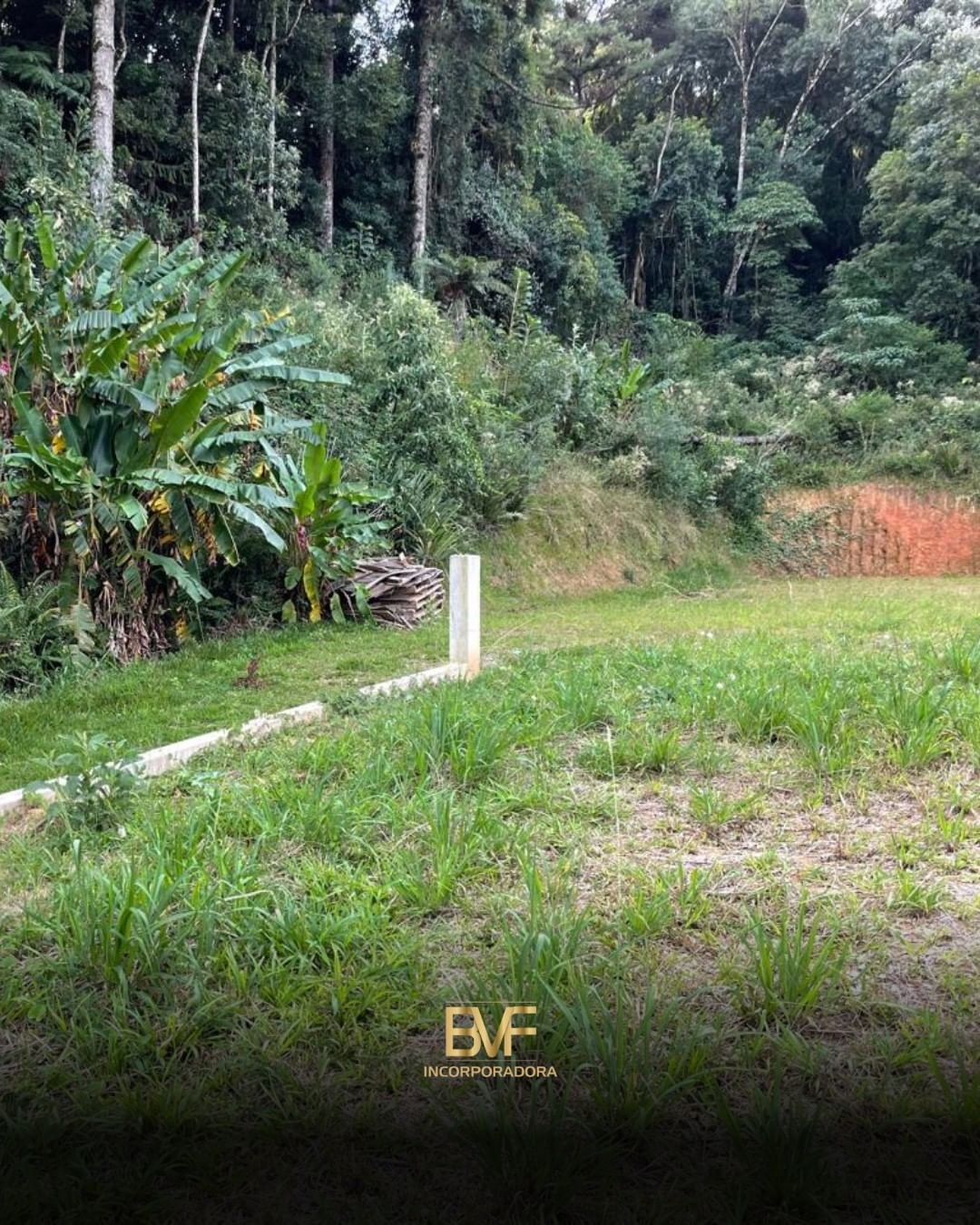 Snapinsta.app_440944355_388239187544897_8268461722046291880_n_1080