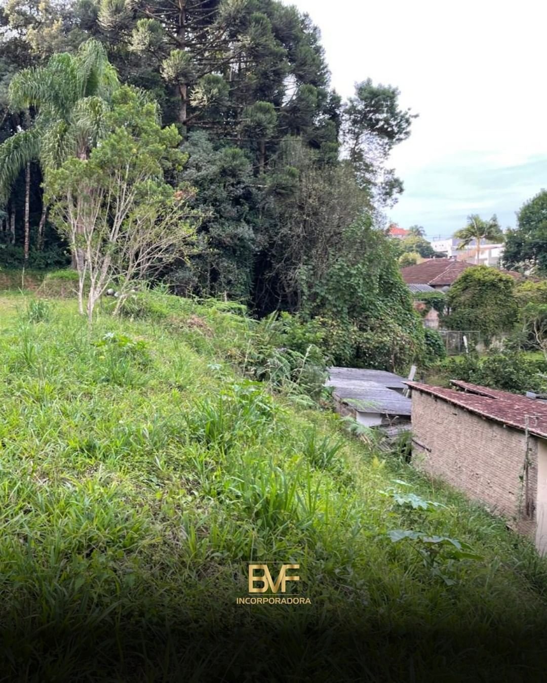 Snapinsta.app_441307466_388239177544898_1602260378001263285_n_1080